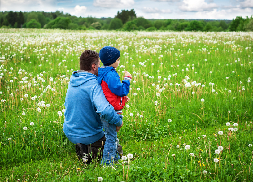 Consultation Publique Sur Le Plan National Sant Environnement