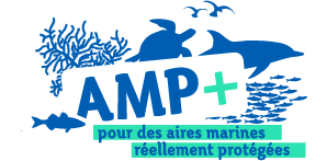 logo AMP+ pour des aires marines réellement protégées