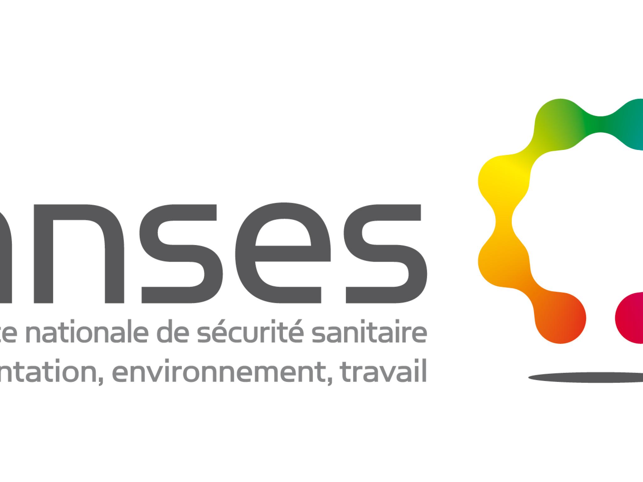 Avis de l'ANSES sur l’évaluation des risques liés aux nanomatériaux