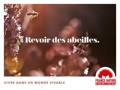 monde_vivable_abeilles