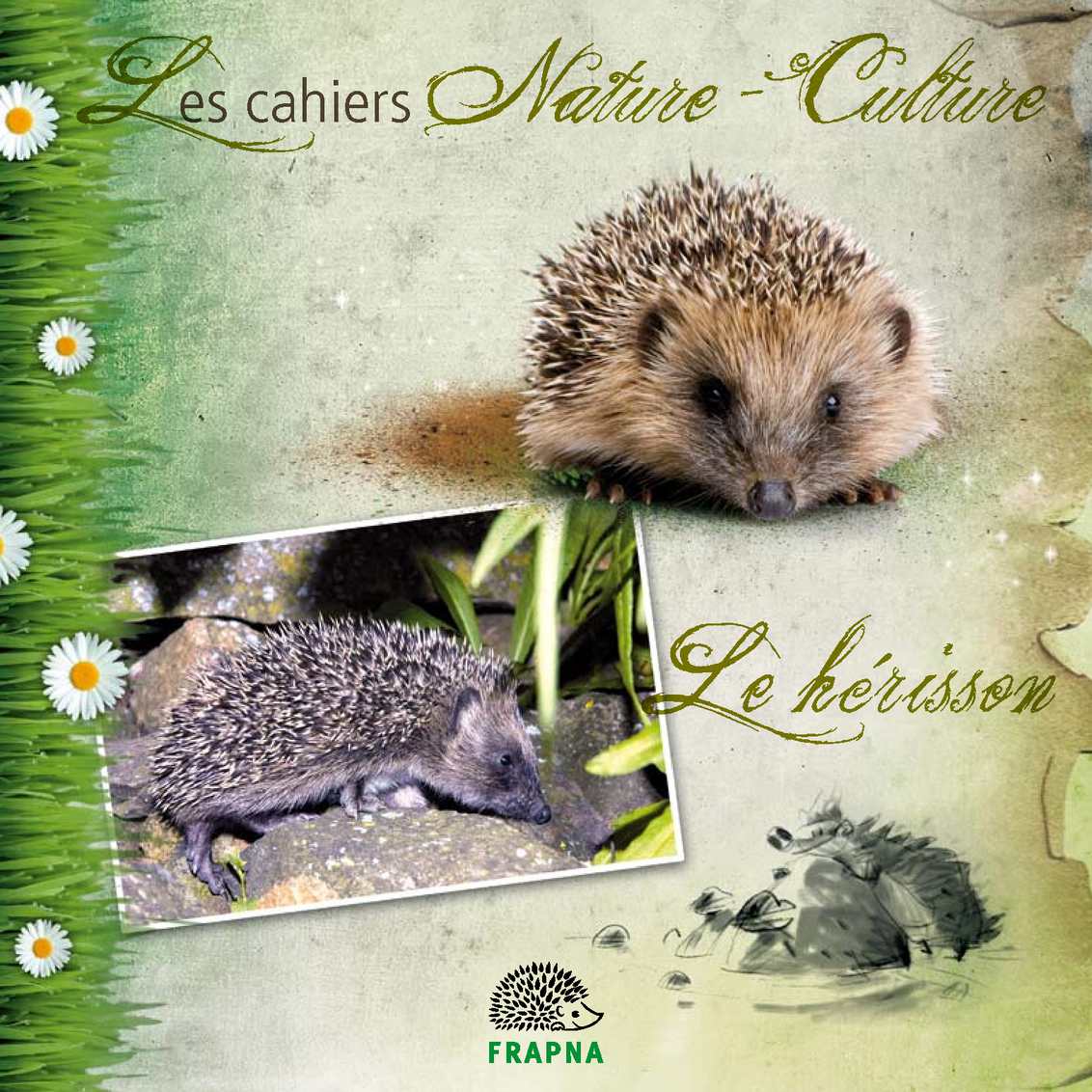 Couverture du cahier