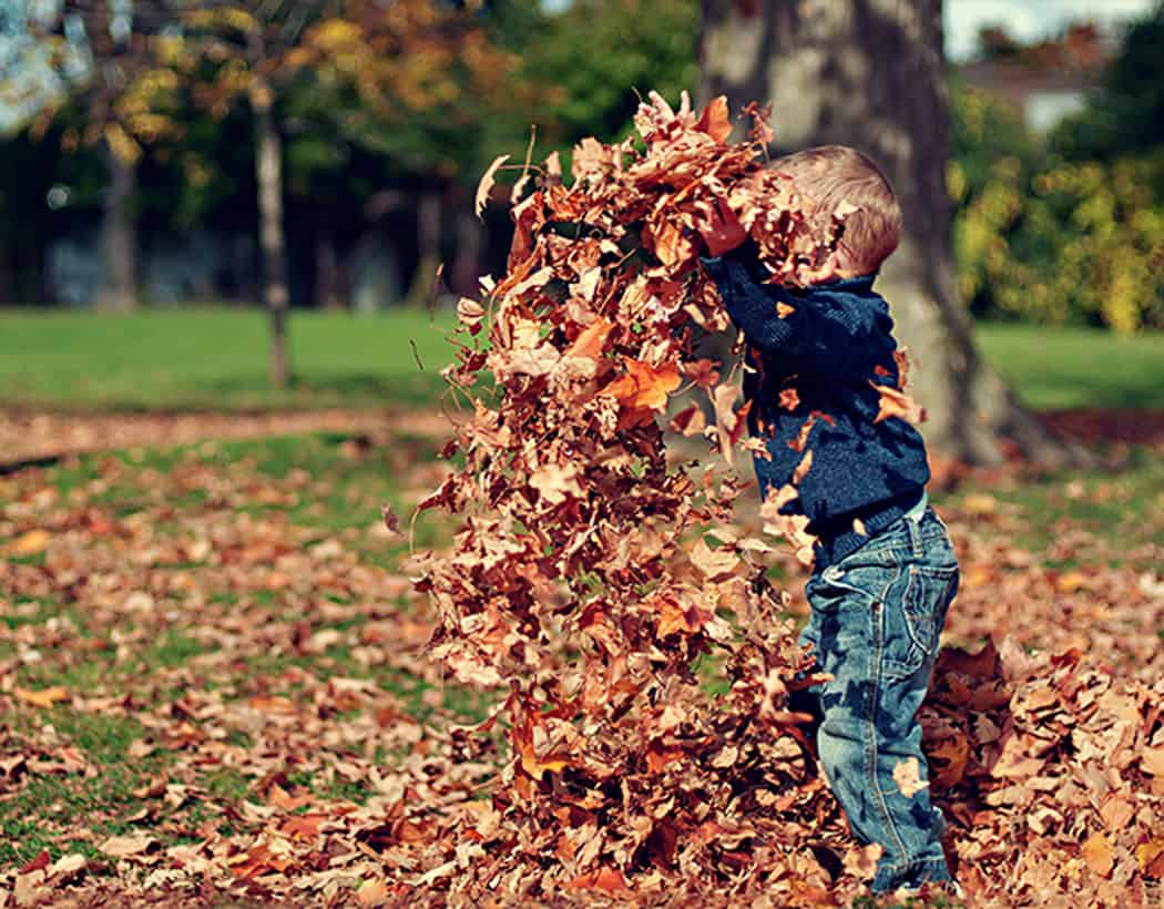 Initier ses enfants aux merveilles de la nature - Magazine Avantages