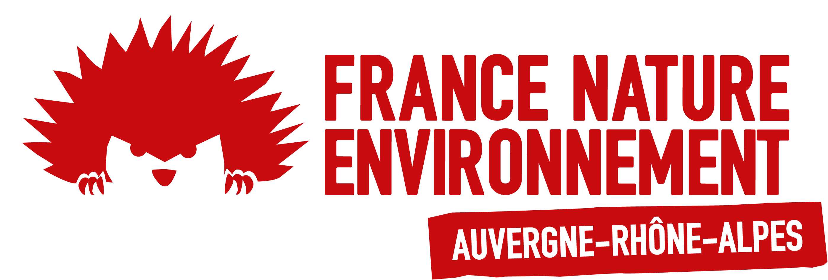 Logo FNE AURA