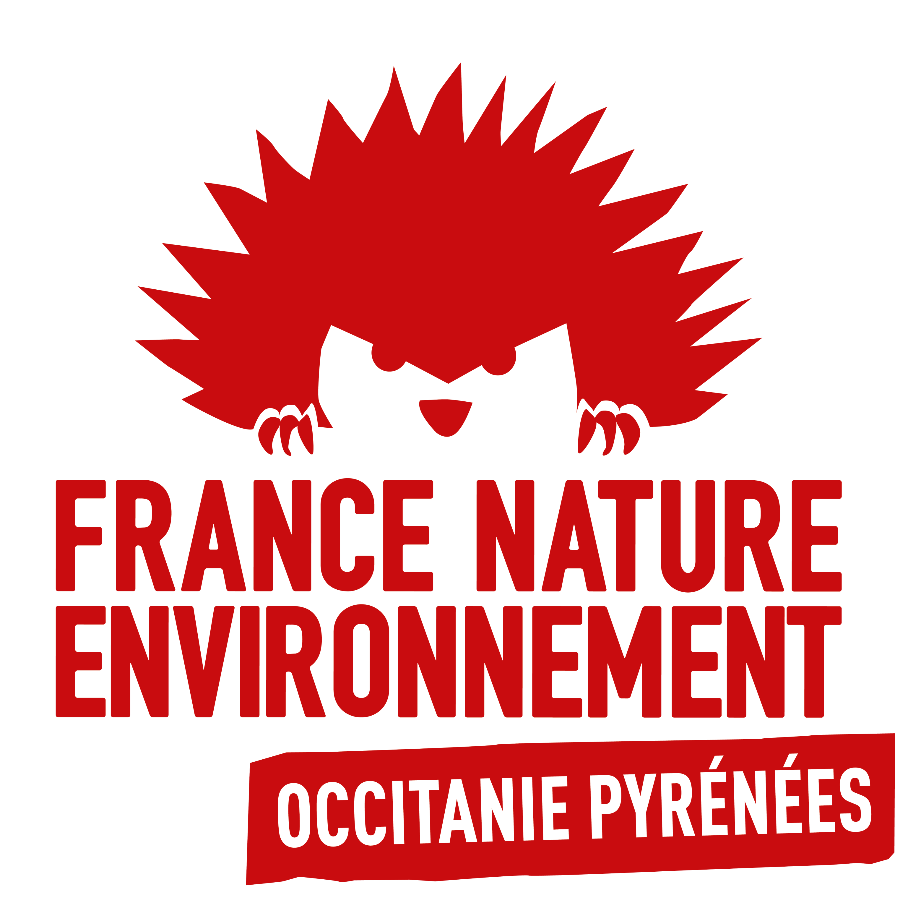 Logo de FNE OcPyr