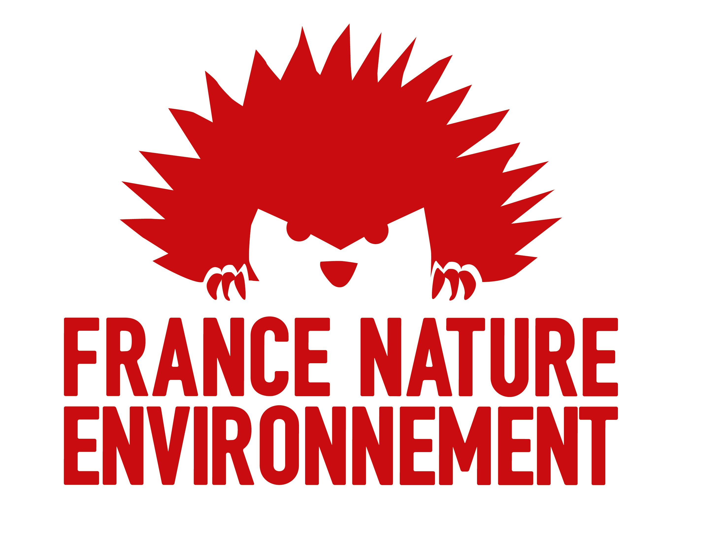 logo FNE national