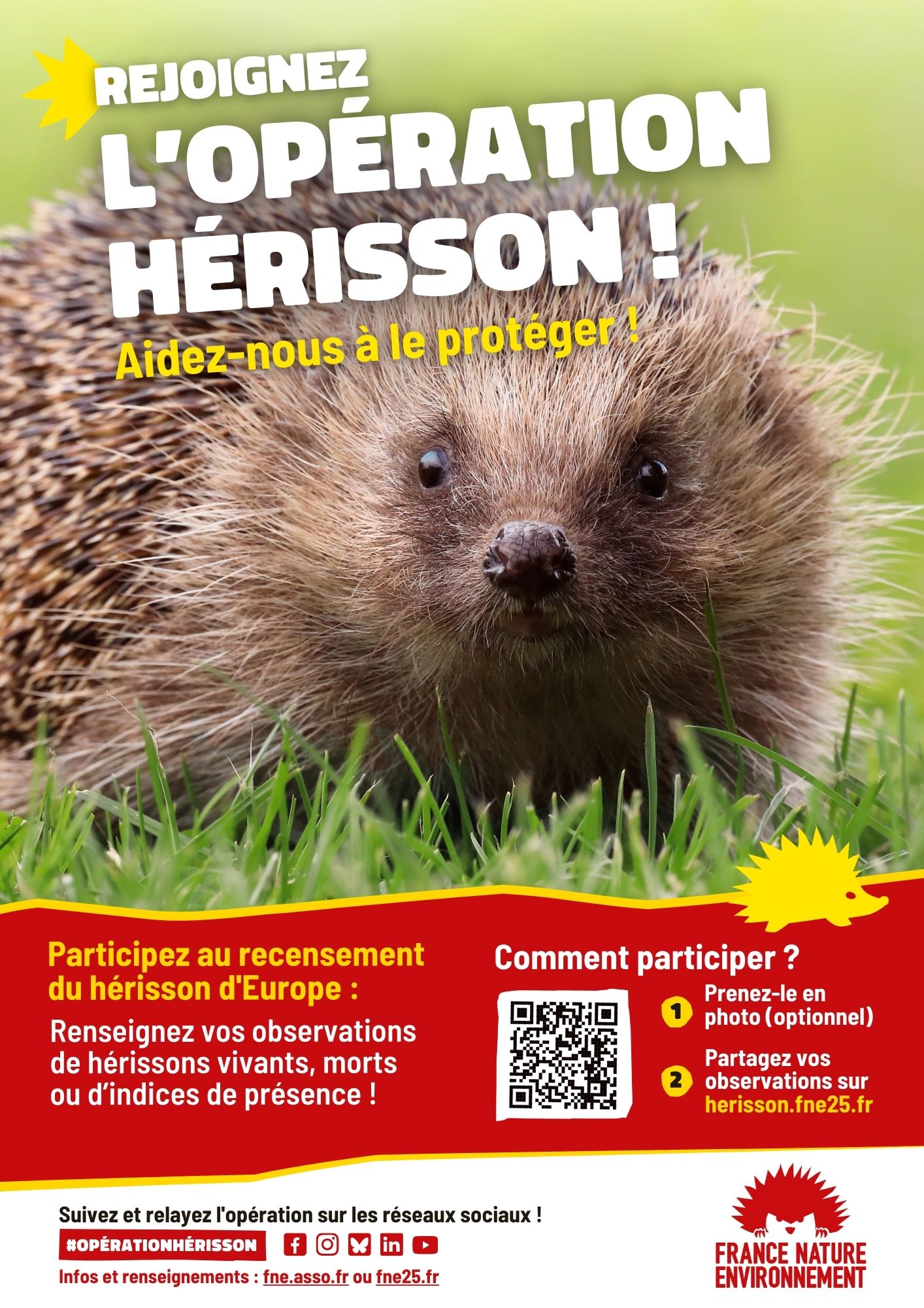 Affiche Opération Hérisson