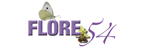 Logo Flore 54