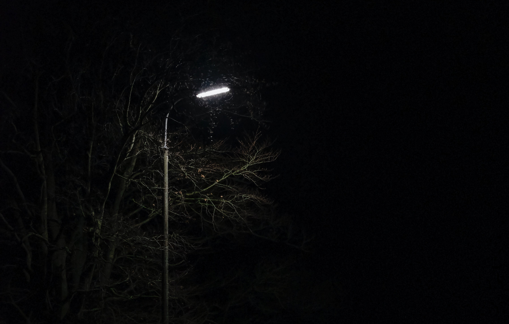 Contre la pollution de la lumière artificielle, les défenseurs de la nuit  se mobilisent