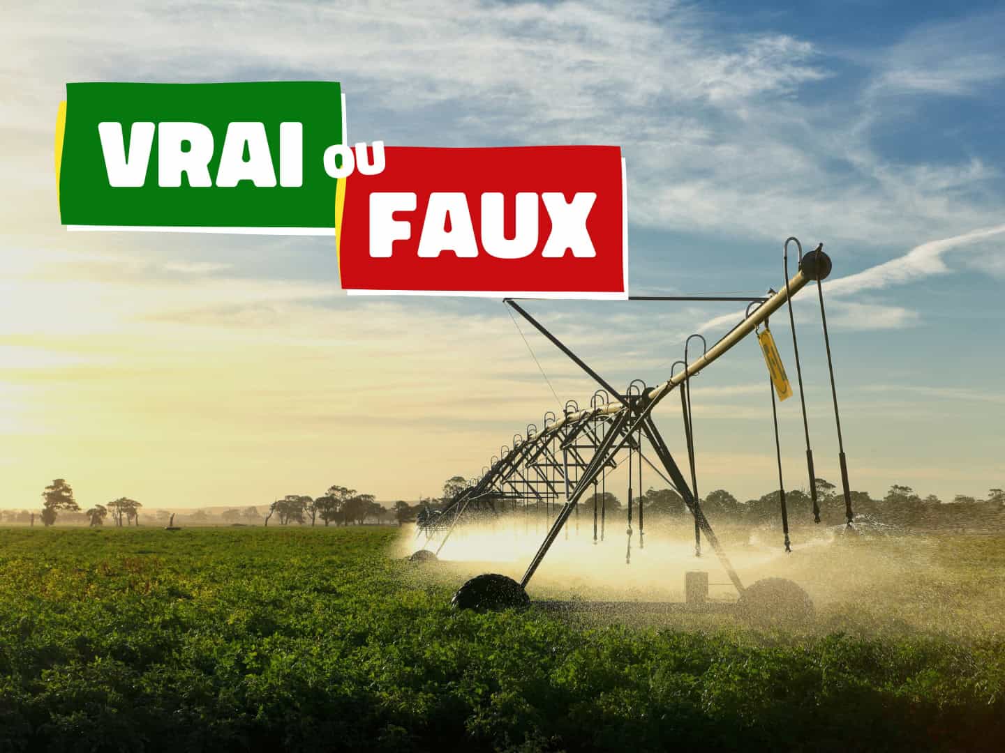 Vrai/Faux Irrigation