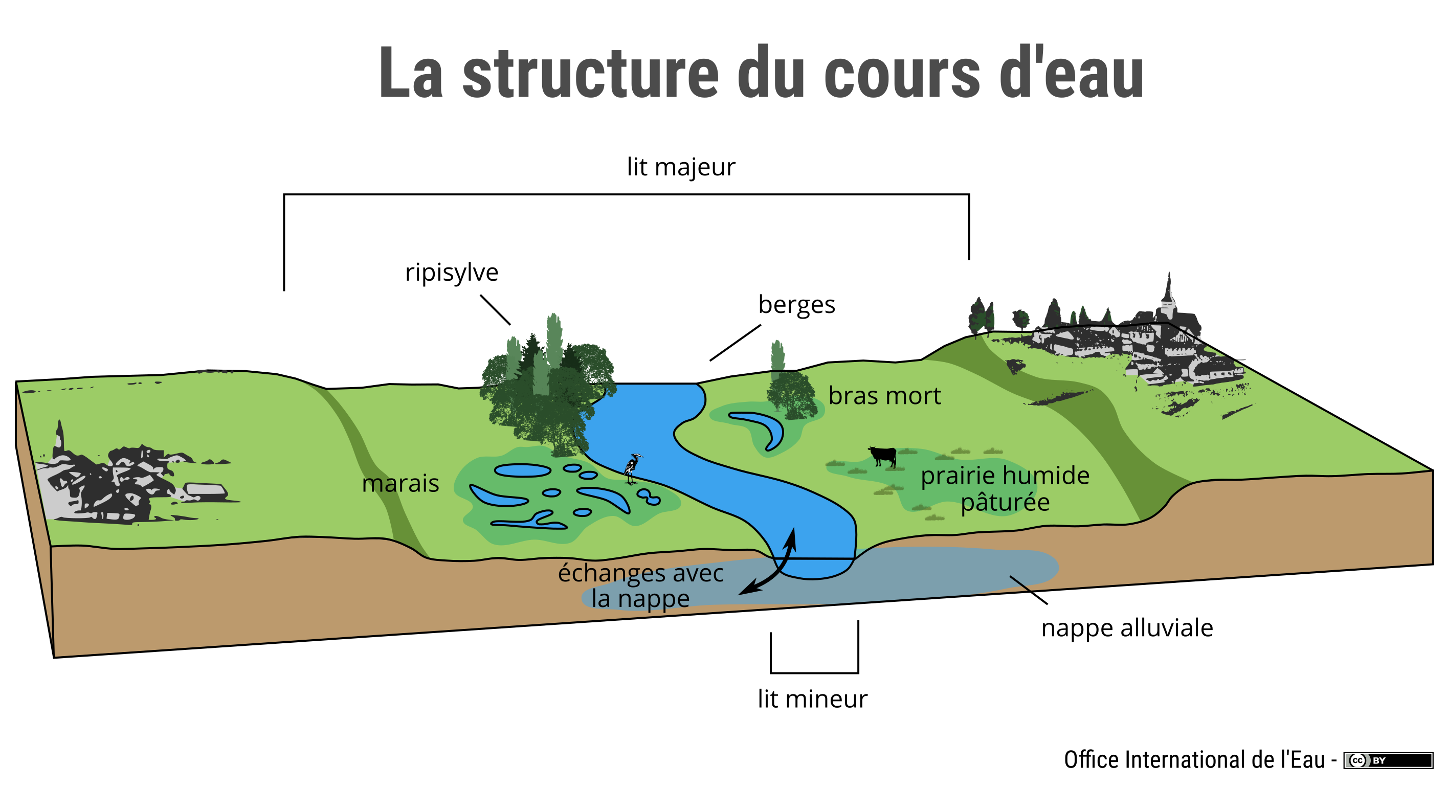 Schéma La structure du cours d'eau, avec le lit mineur, lit majeur, les berges etc.