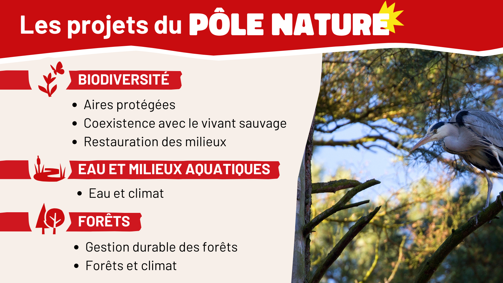 les projets du pôle nature