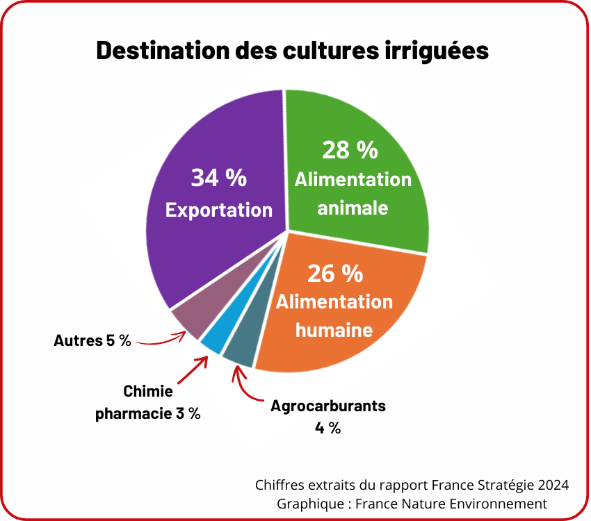 Schéma sur la destination des cultures irriguées