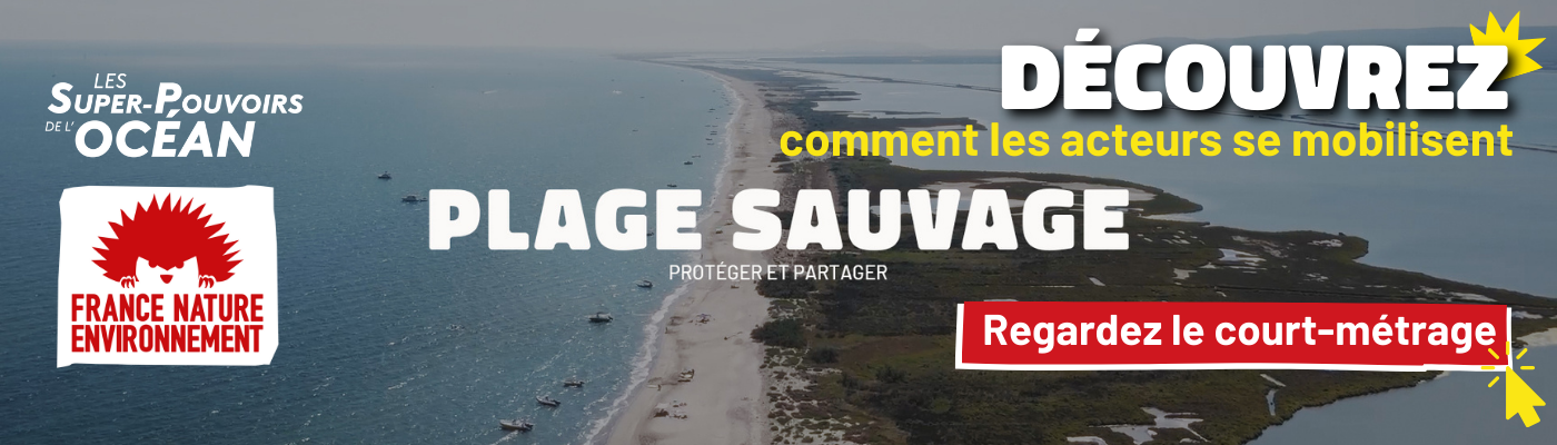 Découvrez le court-métrage Plage Sauvage
