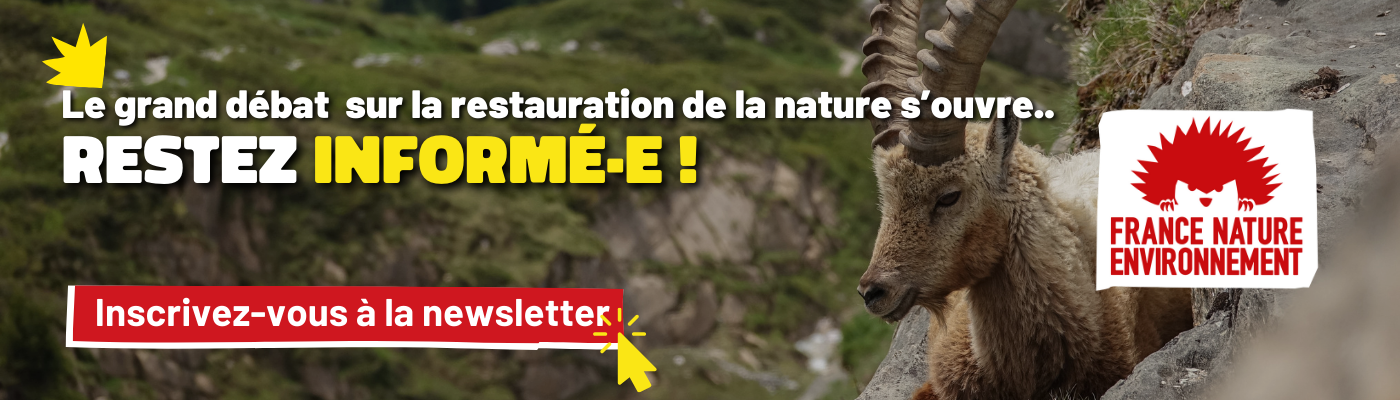 bannière abonnement à la newsletter