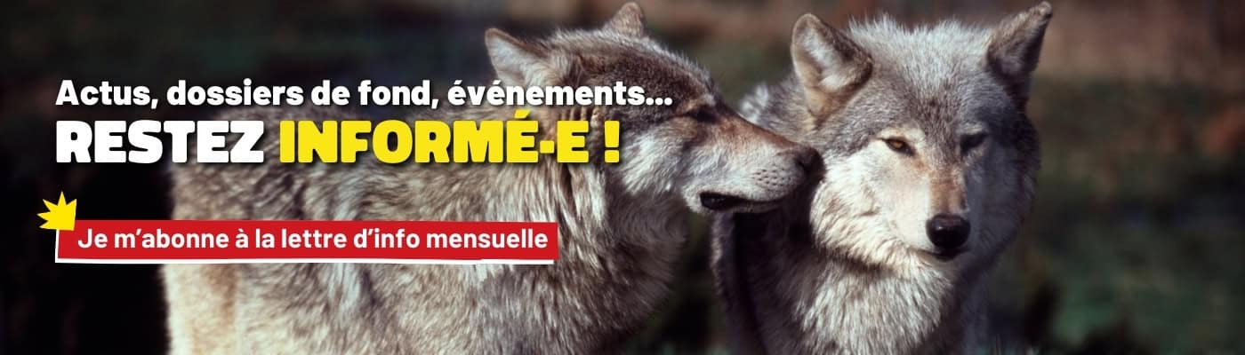 Abonnez-vous à notre newsletter en cliquant ici