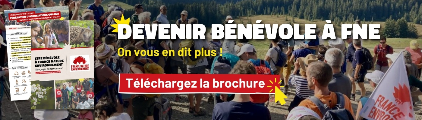 Découvrez notre brochure sur le bénévolat en cliquant ici