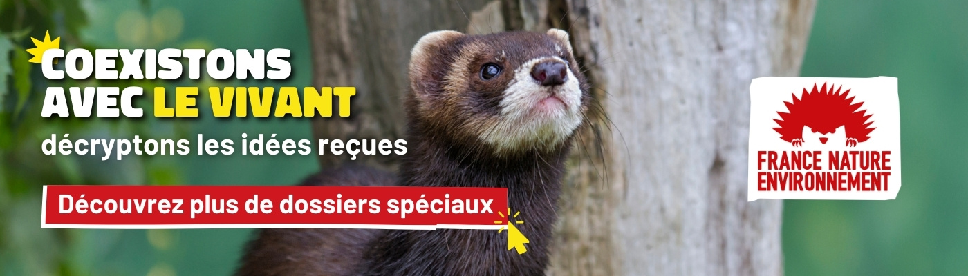 Pour plus de dossiers de décryptage d'idées reçues, cliquez ici