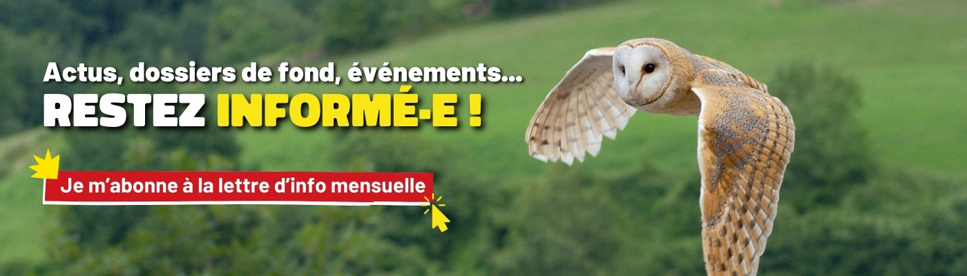 Cliquez ici pour vous inscrire à notre newsletter