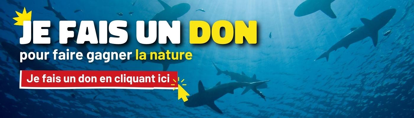 Pour faire gagner la nature, je fais un don à FNE en cliquant ici