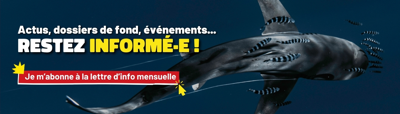 Abonnez-vous à la newsletter de FNE en cliquant ici
