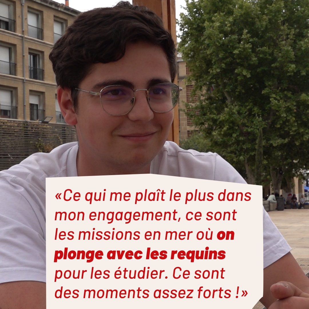 Citation de Lucas Zaccagnini à retrouver sous l'image