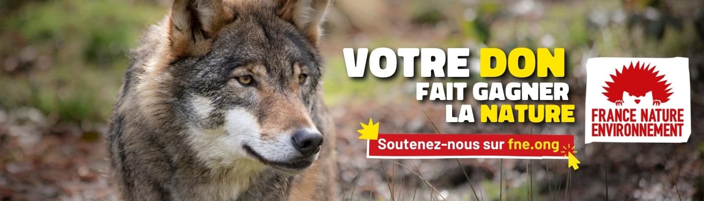 Pour faire gagner la nature, je fais un don à FNE en cliquant ici