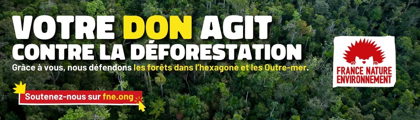 Pour agir contre la déforestation, je fais un don à FNE en cliquant ici