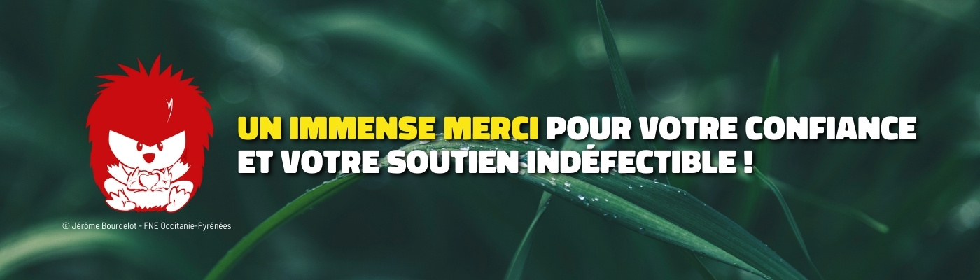 Hérisson qui fait un cœur avec le message : un immense merci pour votre confiance et votre soutien indéfectible