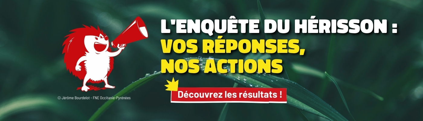 L'enquête du hérisson : vos réponses, nos actions. Découvrez les résultats.