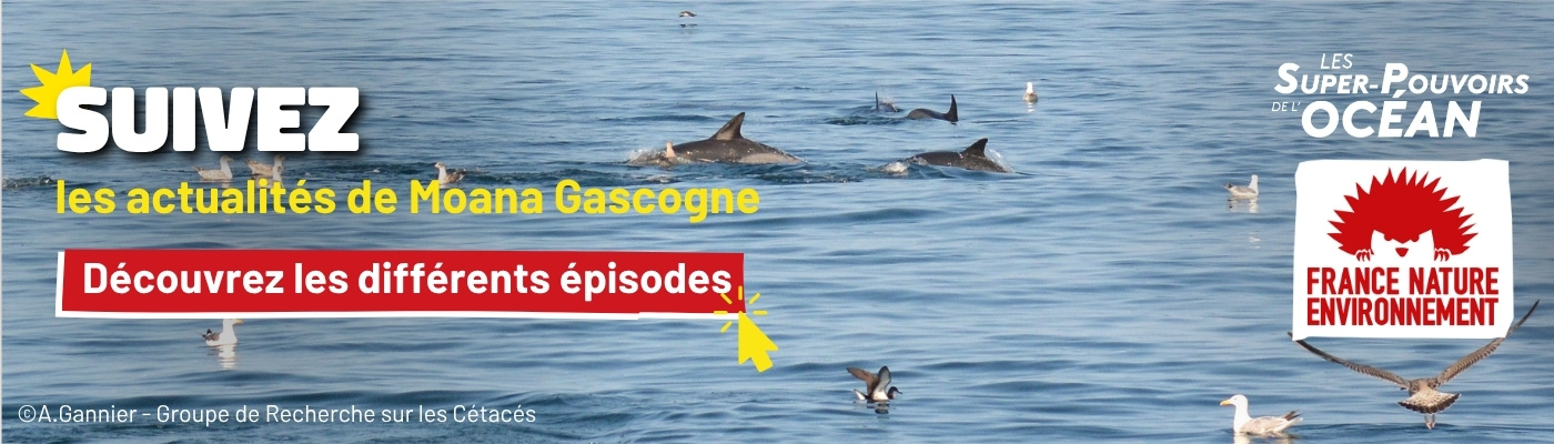 Suivez l'actualité du projet en cliquant ici