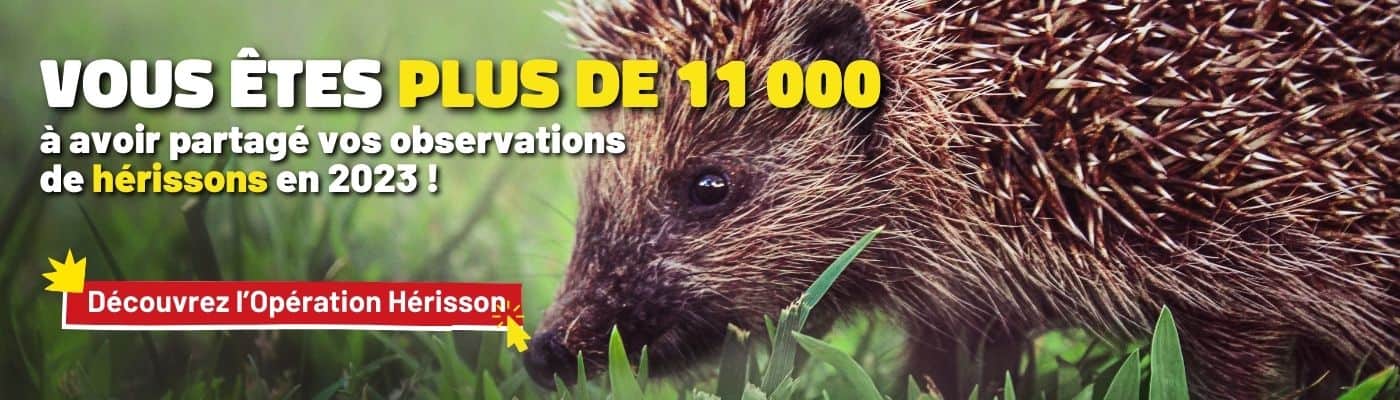 Rejoignez les 11 000 personnes qui nous signalent leur observation en cliquant ici