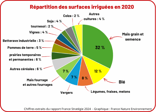 Schéma sur la répartition des surfaces irriguées en 2020