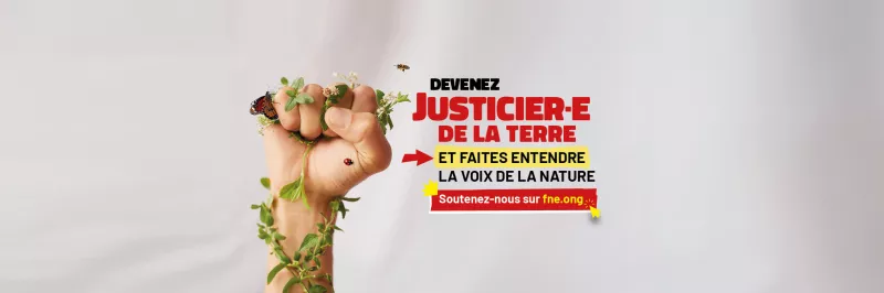 Devenez Justicier·e de la Terre en cliquant ici