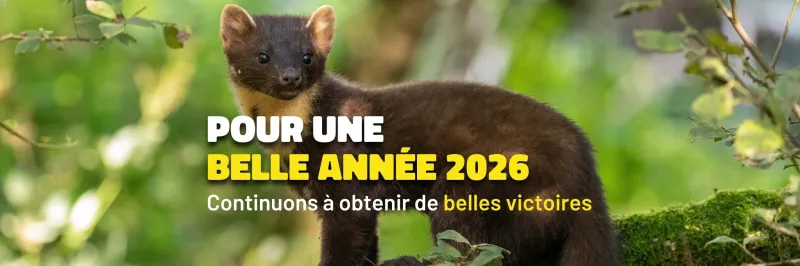 Cliquez ici pour donner une voix à la nature en faisant un don à FNE