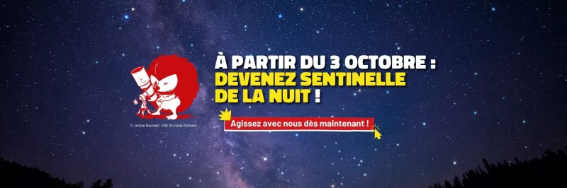 Cliquez ici savoir comment devenir une Sentinelles de la Nuit