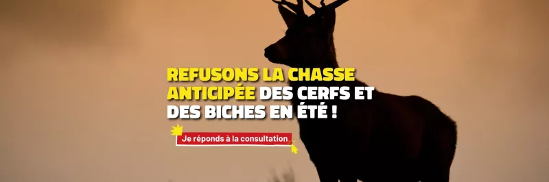 Cliquez ici pour savoir comment répondre à la consultation