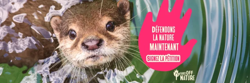 Cliquez ici pour signer la pétition et agir pour défendre la nature