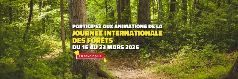 Pour en savoir plus sur la Journée Internationale des Forêts et les animations proposées, cliquez ici