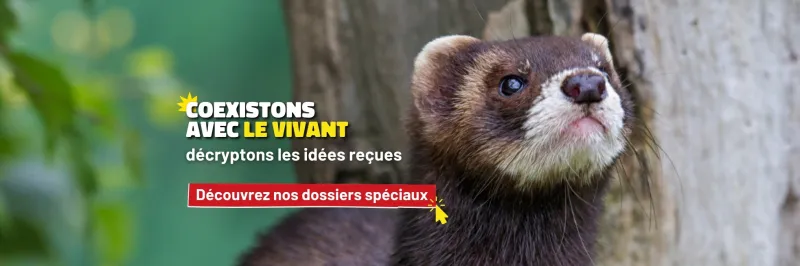 Retrouvez nos décryptages d'idées reçues en cliquant ici