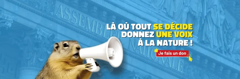 Cliquez ici pour donner une voix à la nature en faisant un don à FNE