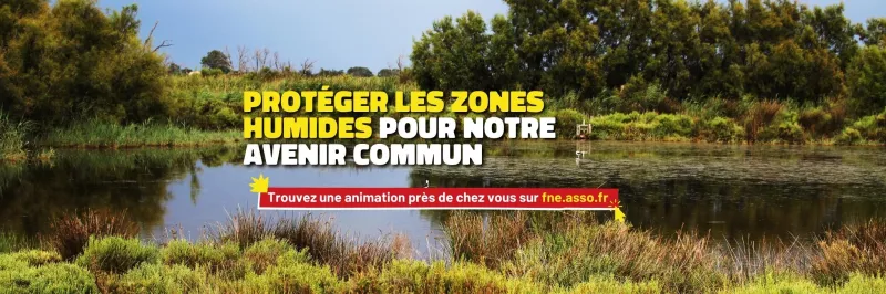 Trouvez des animations sur les zones humides près de chez vous n cliquant ici