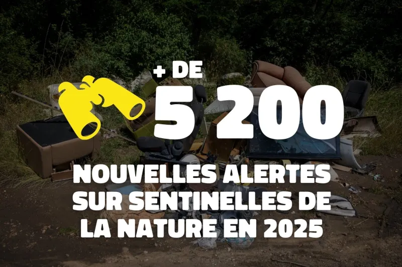 Plus de 5 200 alertes reçues sur Sentinelles de la Nature en 2025