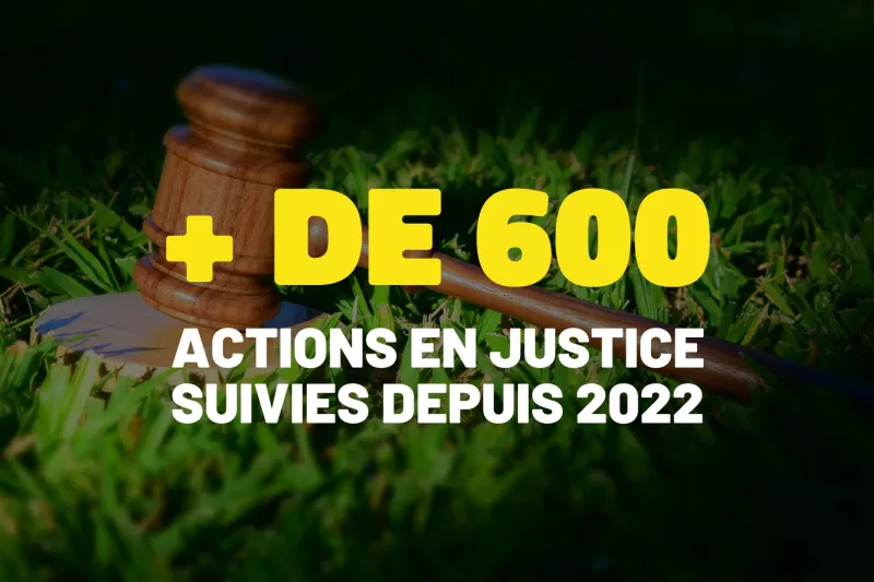 Plus de 600 actions en justice suivies depuis 2022