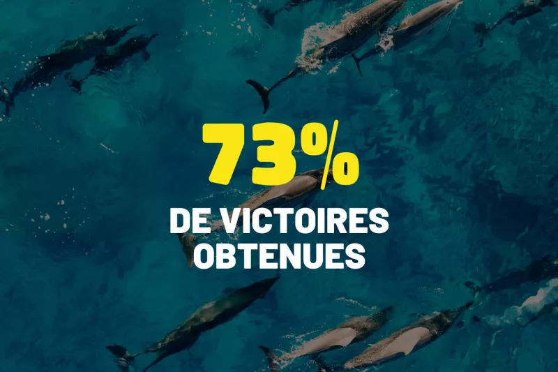 73% de victoires obtenues