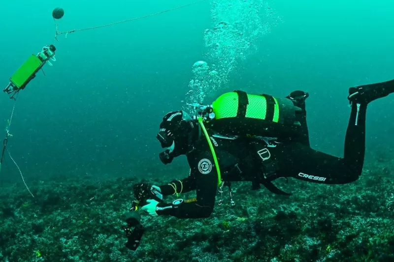 Plongée et prélèvement suprabenthique ADNe