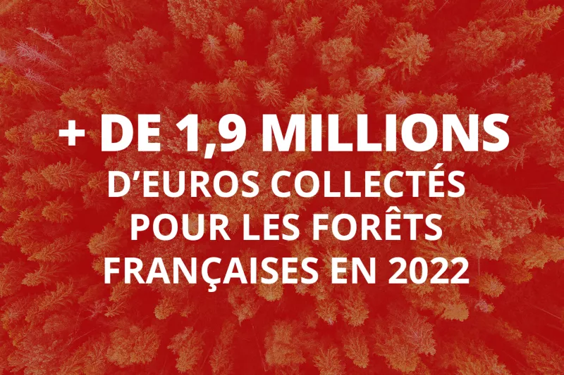 + de 1,9 millions d'euros collectés pour les forêts françaises en 2022