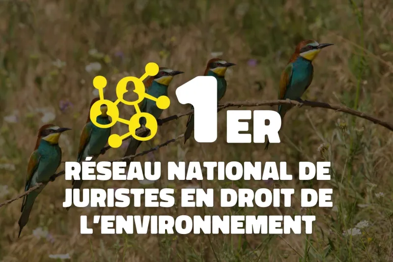 1er réseau national de juristes en droit de l'environnement