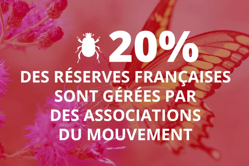 20% des réserves françaises sont gérées par des associations du mouvement