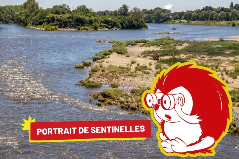 Illustration portrait John