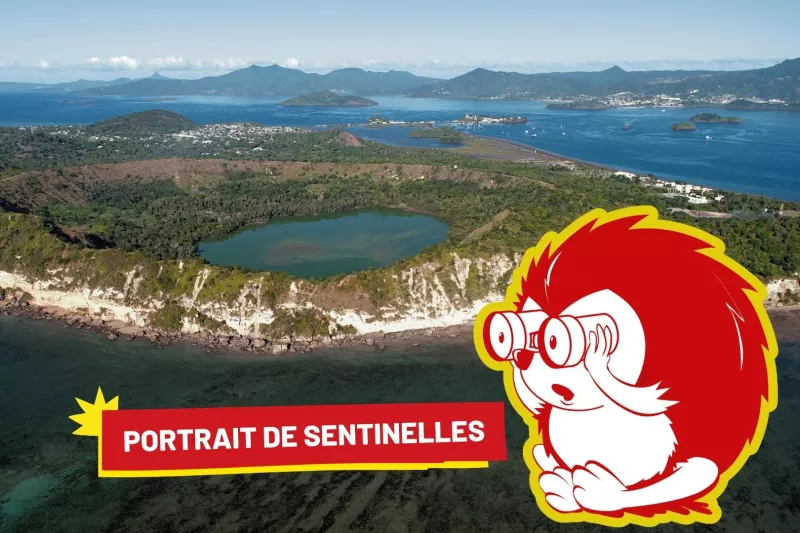 Illustration portrait Léna